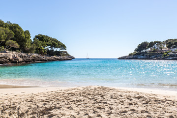 Mallorca Strand unter Palmen