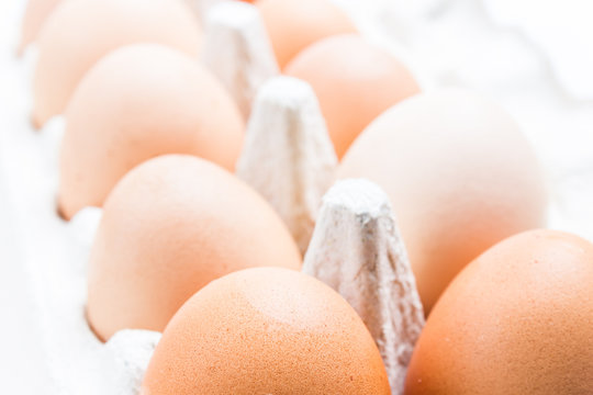 Fresh Bio Eggs Detail in Paper Box on Light Background
