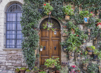 Fototapeta na wymiar Retro wooden door outside old Italian house in a small town of Assisi, Italy. Plants decorations, ivy, vintage.