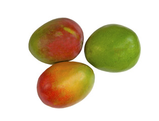 Three juicy Mango