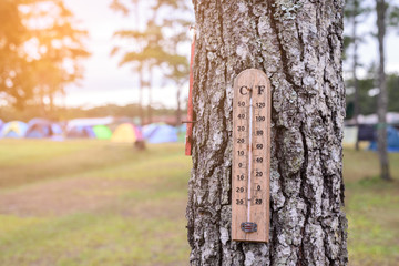 Wooden thermometer on the tree at camp site.