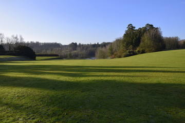 green lawn in Solvay, Belgium