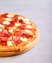 Sausage salami and mozzarella pizza