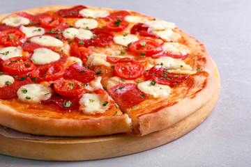 Sausage salami and mozzarella pizza