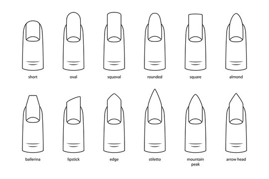 Nail shapes, vector illustration