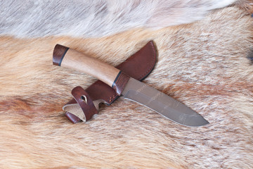 sharp hunting knife lies on the skin of a Fox