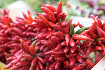 Red chili peper