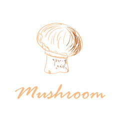 Hand drawn vector illustration of mushroom isolated on white