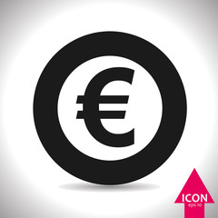 Euro icon