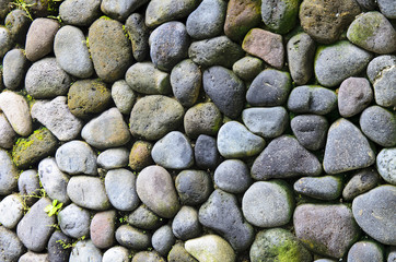 Texture of old stone wall covered green moss in Indonesia