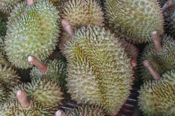 Naklejka na ściany i meble Durian king of fruit