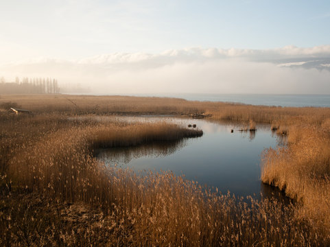 Etang de la Grande Cari&ccedil;aie
