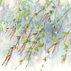 birch branches watercolor background