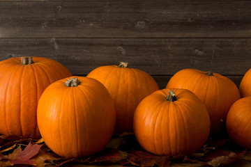 Group of Pumpkins on Dried Leaves with Copy Space