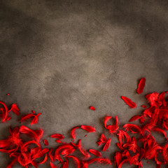 Valentine's Day - red hearts on a gray background © dominikab