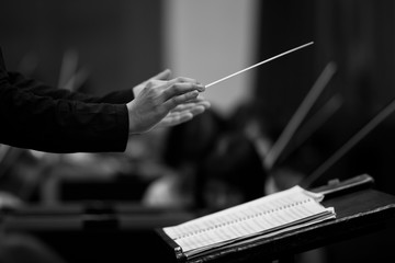 Hands of conductor closeup in black and white