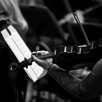 Hands musician playing the violin in the orchestra in black and white