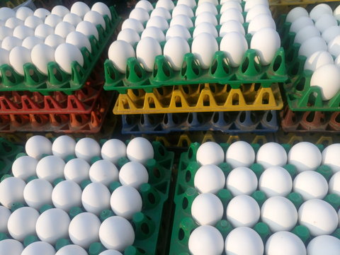 Full frame shot of chicken eggs for sale