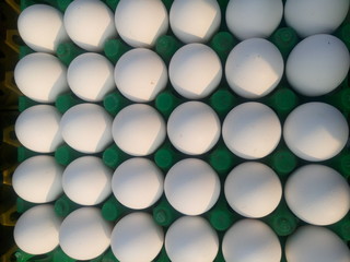 Full frame shot of chicken eggs for sale