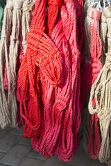 Hand made red and white halter equipment for horses and horsemen