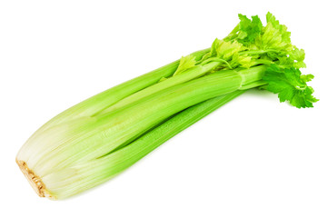green celery twig