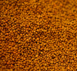 perilla seed