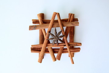 Aromatic cinnamon sticks and stars of anise in the square on the white background.