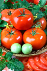 Big red fresh tomatoes