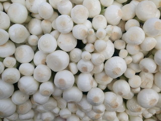 Directly above shot of onions for sale