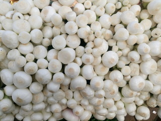 Directly above shot of onions for sale