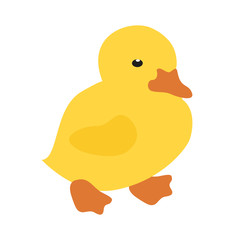 Cute cartoon duck
