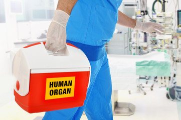 Arzt bringt Organspende in OP für Organtransplantation - 134859401