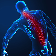 3d render of a medical image of a male figure with spine highlig