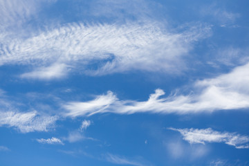 Wispy cirrus clouds blue sky