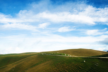 Panorama di montagna con pascolo