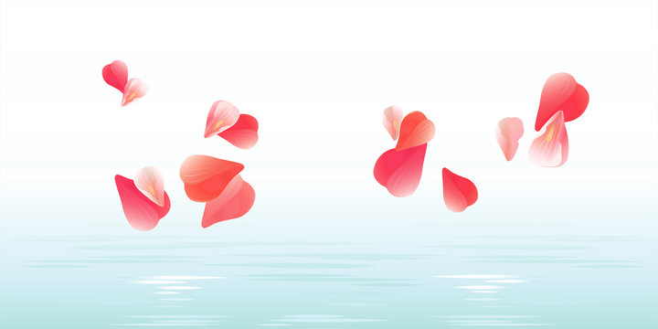 Pink Petals Falling In Water. Sakura Petals. Vector 