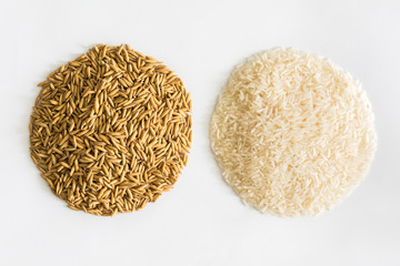 paddy rice,brown rice,white rice