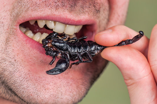 man eating fried scorpion