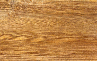 Old wood background texture
