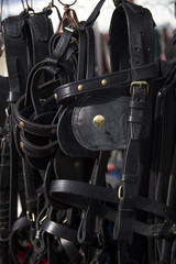 Handmade black colored leather harnesses for riders for sale at retail market