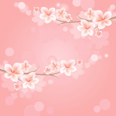 Fototapeta na wymiar Flowers background with bokeh. Flowers design. Sakura blossoms. Cherry blossom branches on pink. Vector 