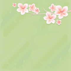 Flowers design. Flowers background. Branches of sakura with flowers. Cherry blossom branches on green background. Vector 