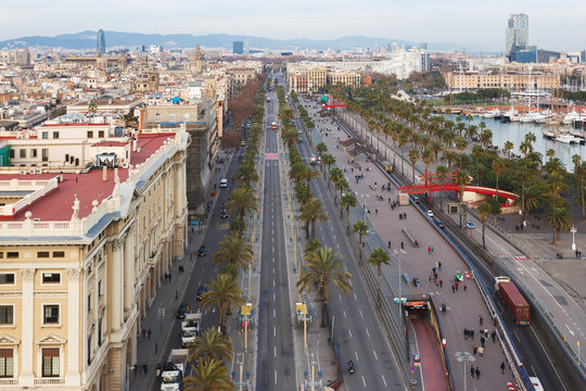 Passeig de Colom street in Barcelona