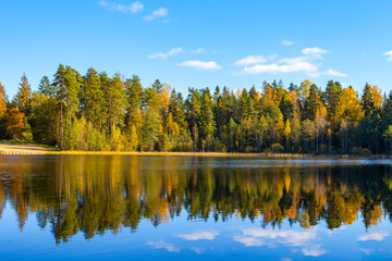 Autumn forest reflection in pond, Aegviidu, Estonia