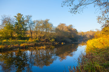 Fototapeta premium Autumn trees on the river's coast