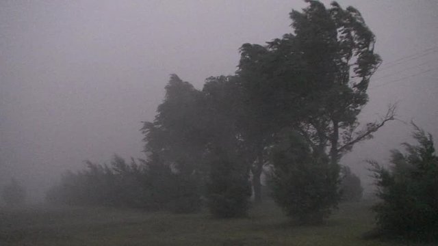 Heavy Rain and High Winds in Thunderstorm in Field