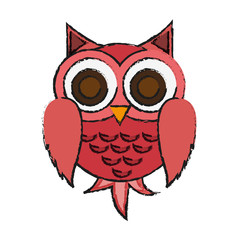 owl cartoon icon over white background. colorful design. vector illustration