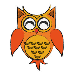 owl cartoon icon over white background. colorful design. vector illustration