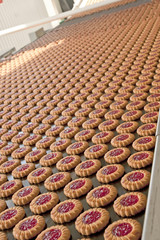 Production line of  jam cookies