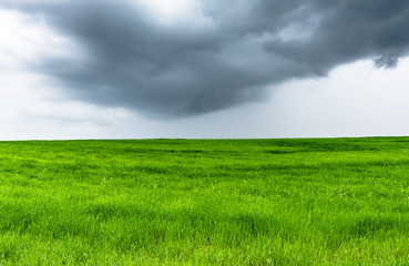 Sky and green field, landscape. Spring meadow with grass to the horizon